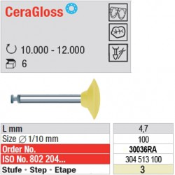  CeraGloss - étape 3 - 30036RA 