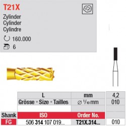  T21X.314.010 - Cylindre 