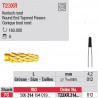  T23XR.314.012 - FG - Cône rond 