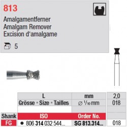 SG 813.314.018-Excision d'amalgame