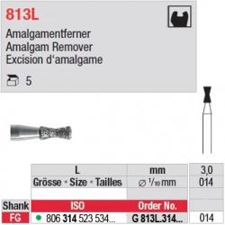 G 813L.314.014-Excision d'amalgame