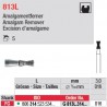 G 813L.314.016-Excision d'amalgame