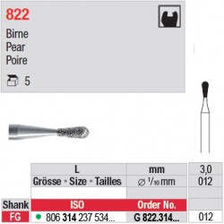G 822.314.012-Poire