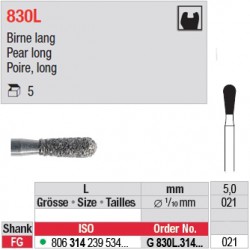 G 830L.314.021-Poire,long