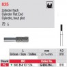 G 835.314.010-Cylindre,bout plat