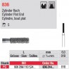 836.314.010-Cylindre,bout plat