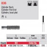 F 836.314.010-Cylindre,bout plat
