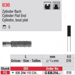 G 836.314.018-Cylindre,bout plat