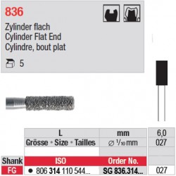 SG 836.314.027-Cylindre,bout plat
