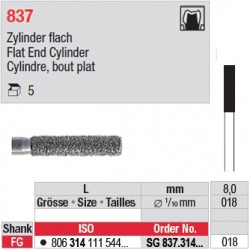 SG 837.314.018-Cylindre, bout plat