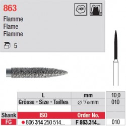 F 863.314.010 - Flamme