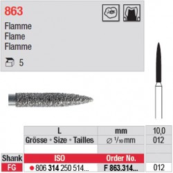 F 863.314.012 - Flamme