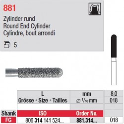 881.314.018 - Cylindre, bout arrondi