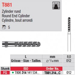 T881.314.012C - Cylindre, bout arrondi