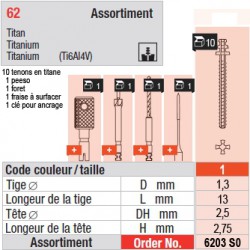 6203SO - Assortiment tenons taille 1 (courts)