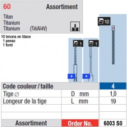 6003SO - Assortiment tenons taille 4