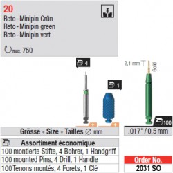 2031SO - Assortiment économique de tenons "RetoMinipins" Or