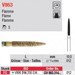  GV863.314.012 - DIACUT - Flamme 