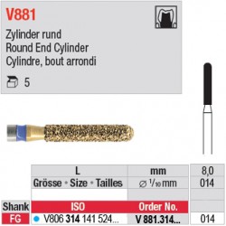  V881.314.014 - DIACUT - Cylindre, bout arrondi 
