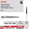  GW879K.314.014 - White Tiger - Cône, allongé, à biseau 