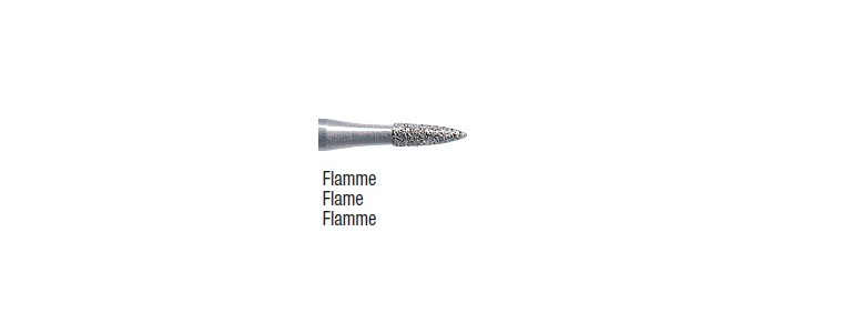 860 / 861 / 862 / 863 / 890 - flamme