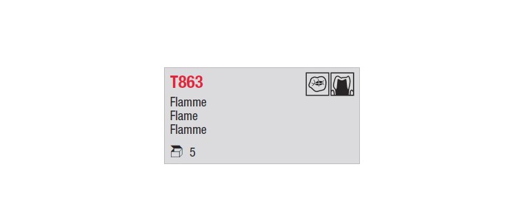 T863 - flamme
