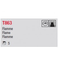 T863 - flamme