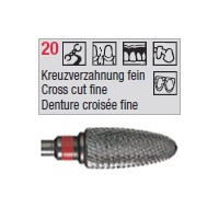 denture 20