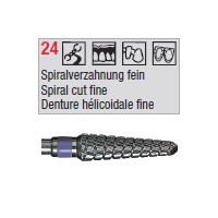 denture 24