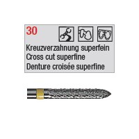 denture 30