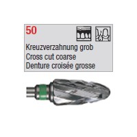 denture 50
