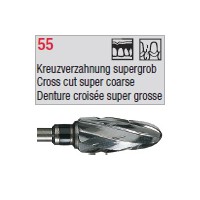 denture 55
