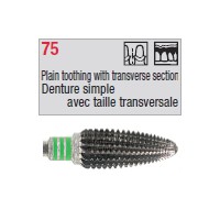 denture 75