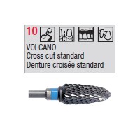 denture 10