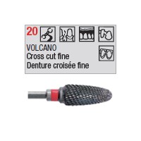 denture 20