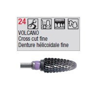 denture 24
