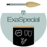 Exa Special