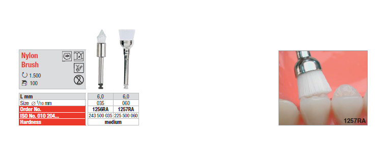 Nylon Brush