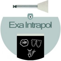 Exa Intrapol