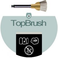 TopBrush (SiC-Brushlets)