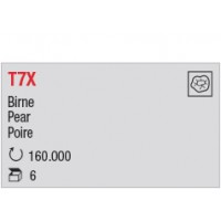 T7X - Poire