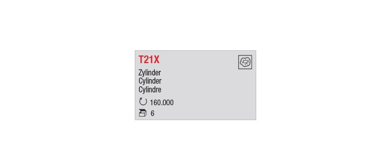 T21X - Cylindre