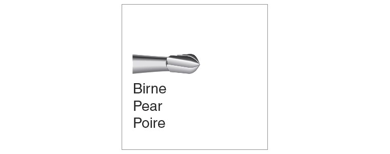 piriformes