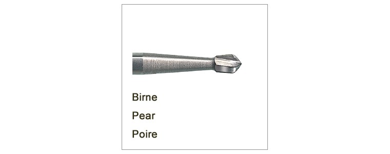 piriformes