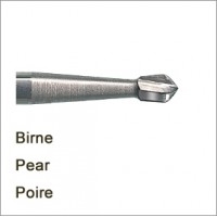 piriformes