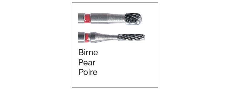 piriformes