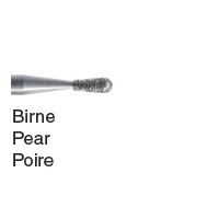 piriformes