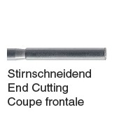 coupe frontale