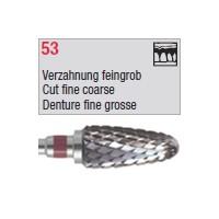 denture 53
