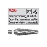 denture 65